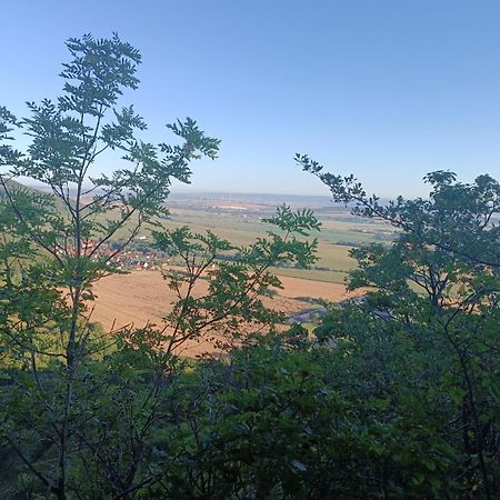 Ferienhaus Waldperle Harzblick Wernrode Exteriér fotografie