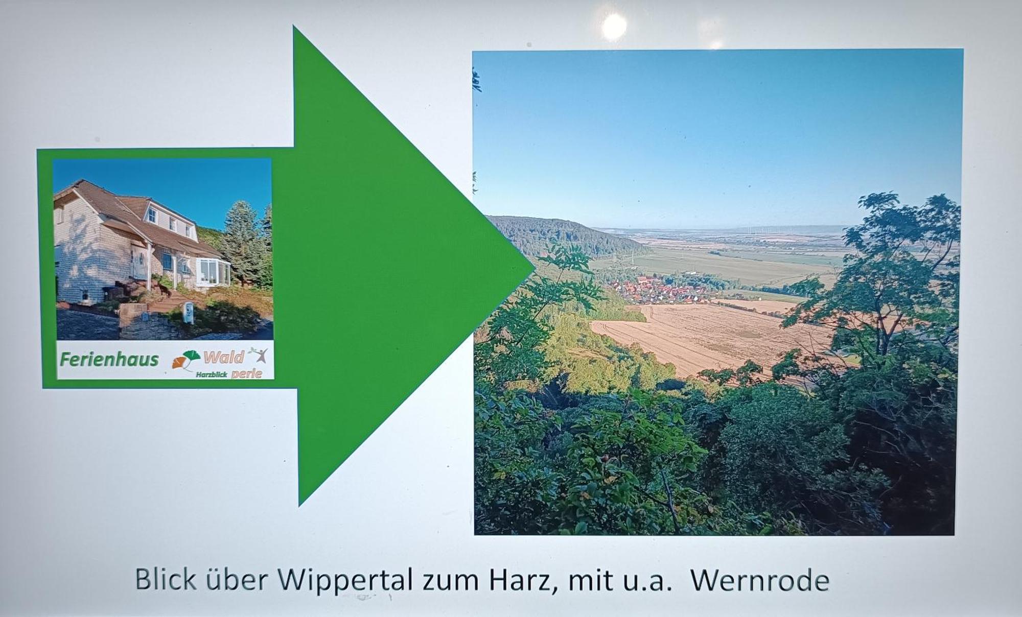 Ferienhaus Waldperle Harzblick Wernrode Exteriér fotografie